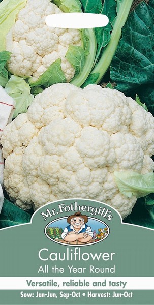 SEEDS – CAULIFLOWER – ALL YEAR ROUND