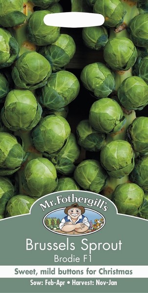 SEEDS – BRUSSELS SPROUT – BRODIE F1