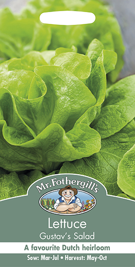 SEEDS – LETTUCE – GUSTAV’S SALAD