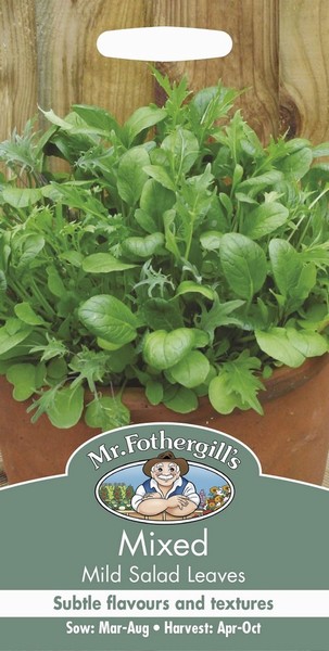 SEEDS – MIXED MILD SALAD LEAVES