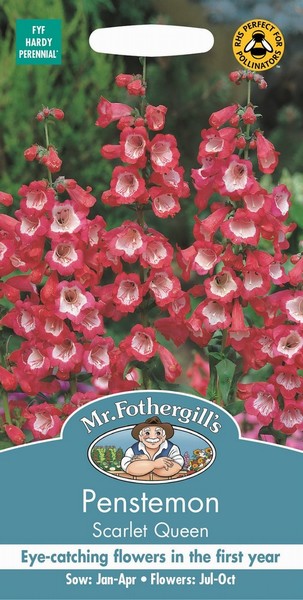 SEEDS – PENSTEMON – SCARLET QUEEN