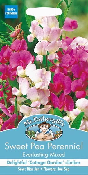 SEEDS – SWEET PEA – EVERLASTING MIX