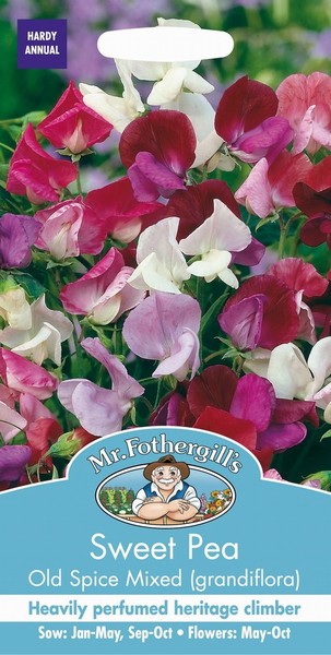 SEEDS – SWEET PEA – OLD SPICE MIX