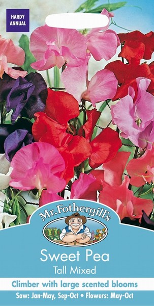 SEEDS – SWEET PEA – TALL MIX