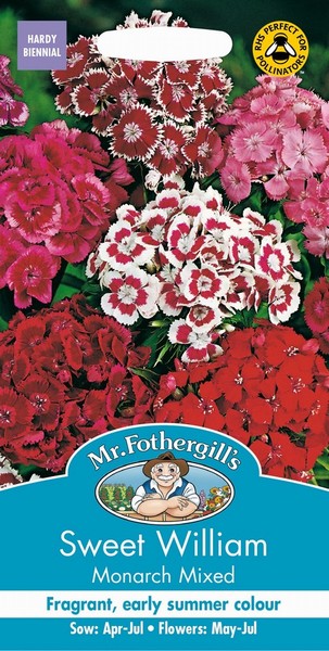 SEEDS – SWEET WILLIAM – MONARCH MIX