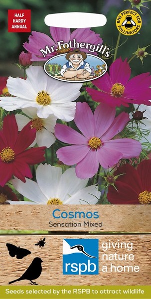 SEEDS – COSMOS – SENSATION