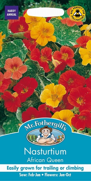 SEEDS – NASTURTIUM – AFRICAN QUEEN