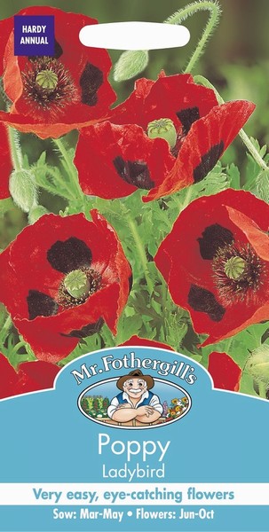 SEEDS – POPPY – LADYBIRD