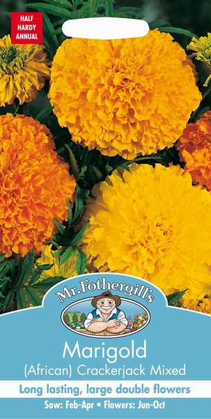 SEEDS – MARIGOLD – (AFRICAN) CRACKERJACK MIX