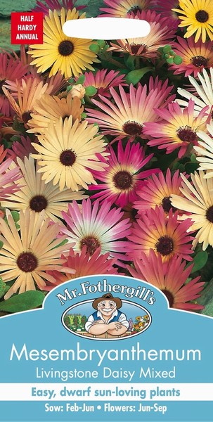 SEEDS – MESEMBRYANTHEMUM – LIVINGSTONE DAISY MIX