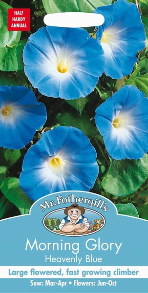 SEEDS – MORNING GLORY – HEAVENLY BLUE