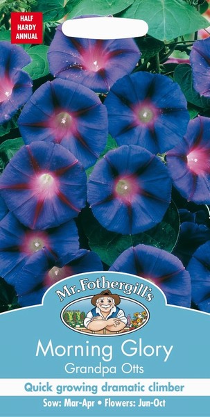 SEEDS – MORNING GLORY – GRANDPA OTTS