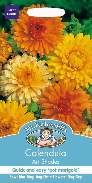 SEEDS – CALENDULA – ART SHADES