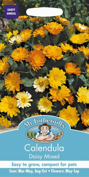 SEEDS – CALENDULA – DAISY MIX