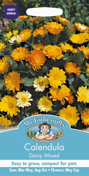 SEEDS – CALENDULA – DAISY MIX