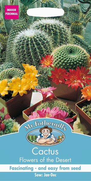 SEEDS – CACTUS – FLOWERS OF THE DESERT