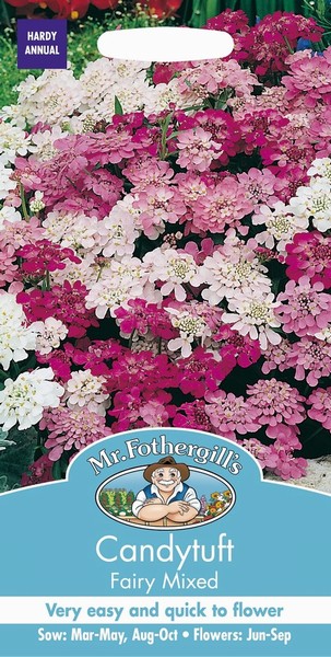 SEEDS – CANDYTUFT – FAIRY MIX