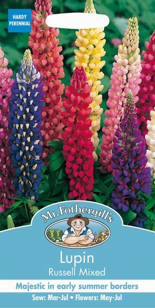 SEEDS – LUPIN – RUSSELL MIX