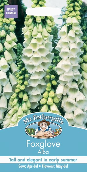 SEEDS – FOXGLOVE – ALBA