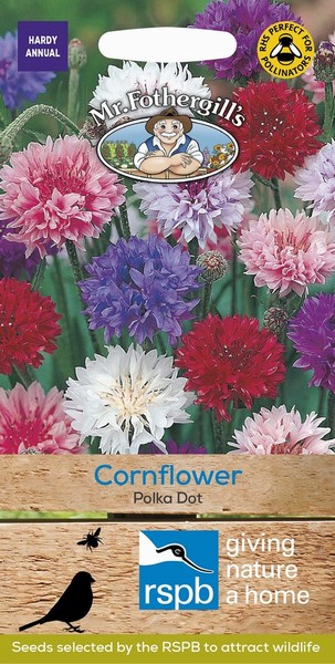 SEEDS – CORNFLOWER – POLKA DOT