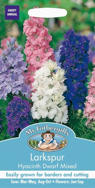 SEEDS – LARKSPUR – HYACINTH DWARF MIX