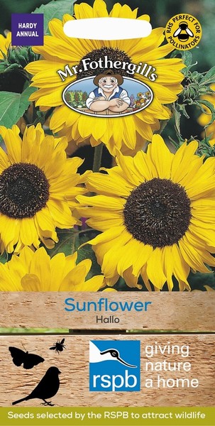 SEEDS – SUNFLOWER- HALLO