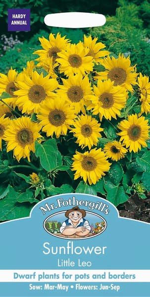 SEEDS – SUNFLOWER – LITTLE LEO