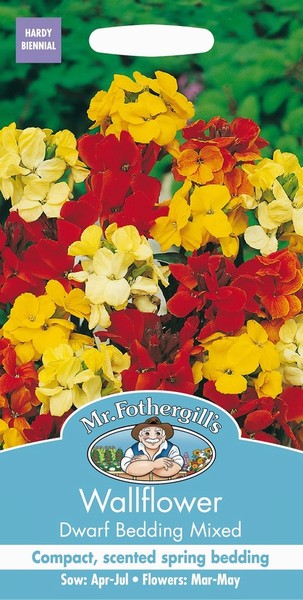 SEEDS-WALLFLOWER DWARF BEDDING MIXED