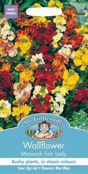 SEEDS – WALLFLOWER – MONARCH FAIR LADY