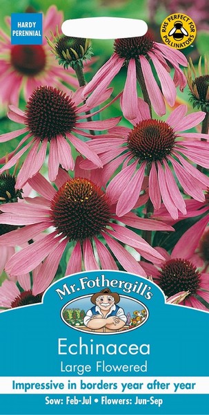 SEEDS – ECHINACEA – LARGE FLOWERED