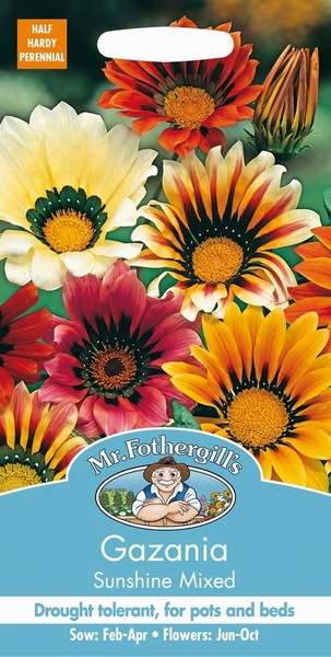 SEEDS – GAZANIA – SHUNSHINE MIX