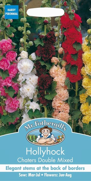 SEEDS – HOLLYHOCK – CHATERS DOUBLE MIX