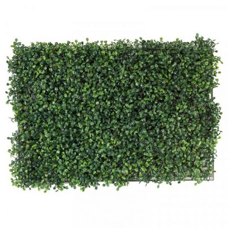 SCREENING PANEL BOXWOOD WONDERWALL 60 X 40CM - Image 2