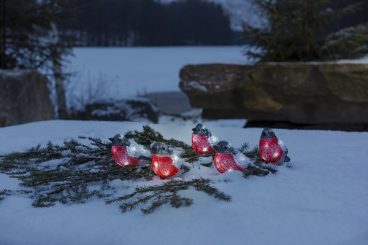 Konstsmide – LED Acrylic Bullfinches Set of 5