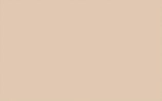 Little Greene Paint Tester – Castell Pink #314