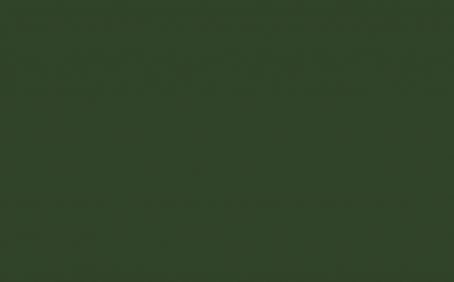 Little Greene Paint Tester - Dark Brunswick Green #88 (S.C)