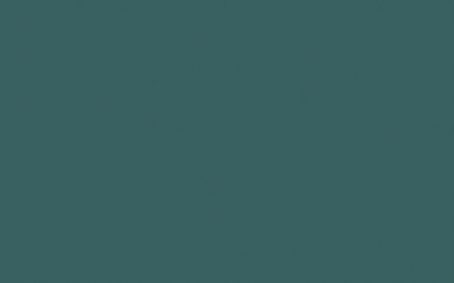 Little Greene Paint Tester - Goblin #311