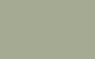 Little Greene Paint Tester – Bringdon Green #295