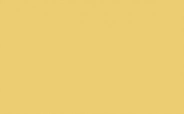 Little Greene Paint Tester – Indian Yellow #335