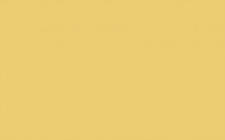 Little Greene Paint Tester - Indian Yellow #335