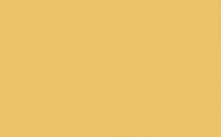 Little Greene Paint Tester - Giallo #337