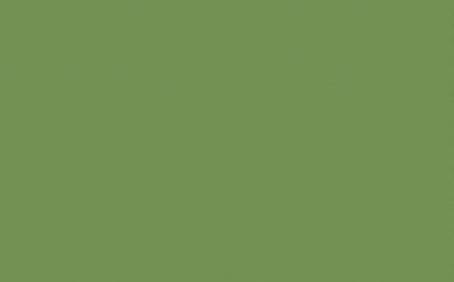 Little Greene Paint Tester - Garden #86