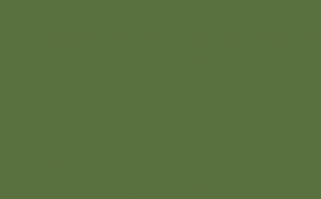 Little Greene Paint Tester - Hopper #297