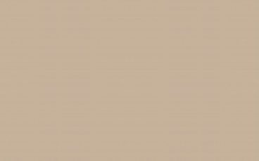 Little Greene Paint Tester – Lute #317 (Stone Collection)