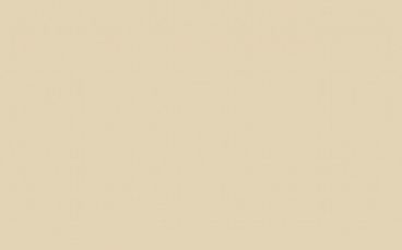 Little Greene Paint Tester – Travertine Mid #273 (S.C)