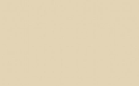 Little Greene Paint Tester - Travertine Mid #273 (S.C)