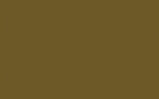 Little Greene Paint Tester – Light Bronze Green #123 (S.C)