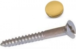 (x4)1.1/4″ BRASS MIRROR SCREW