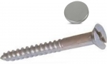 (x4)2″ CHROME MIRROR SCREWS