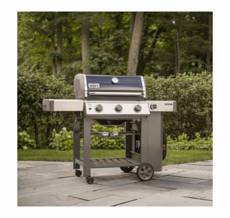 Weber - Gas BBQ Genesis 2 GBS E310 - Image 2